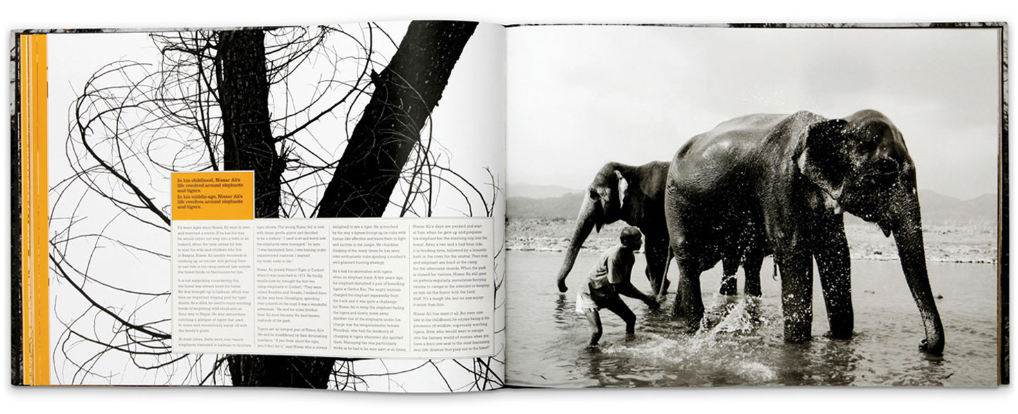 02_book.wwf.mahout.landscape.elephants.corbettnationalpark.jpg